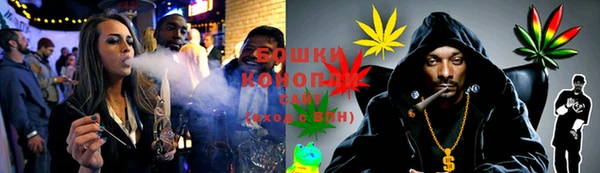 винт Гусь-Хрустальный