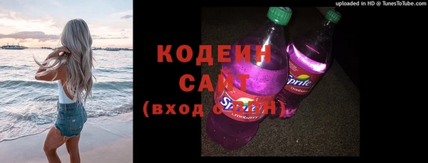 гашик Гусиноозёрск