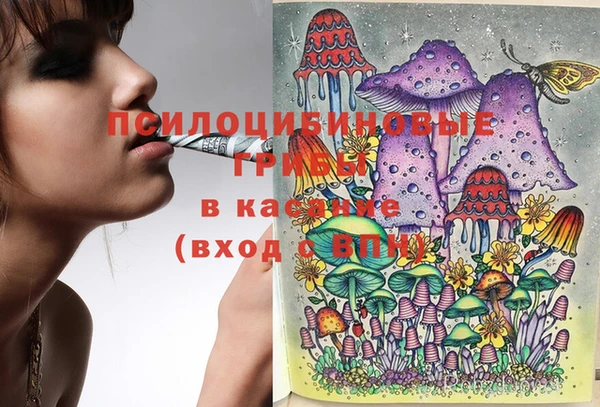 соль курить ск Строитель