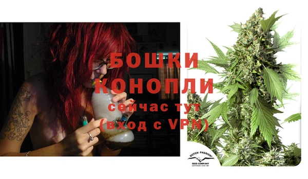 соль курить ск Строитель