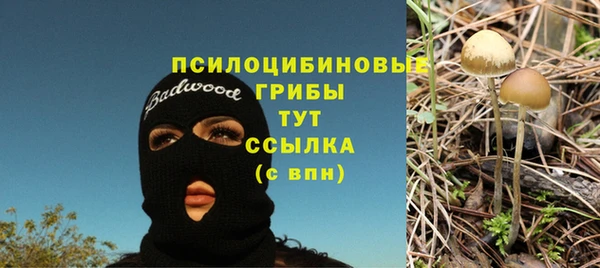 соль курить ск Строитель
