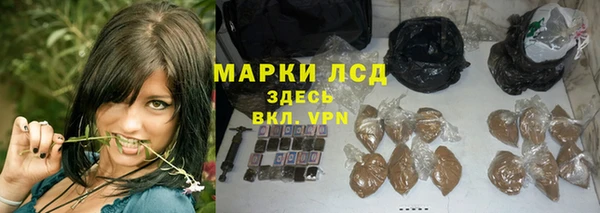 винт Гусь-Хрустальный