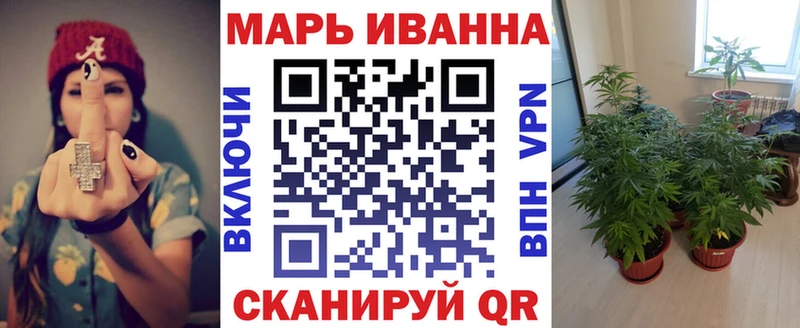 Бошки марихуана OG Kush  купить закладку  Грязовец 